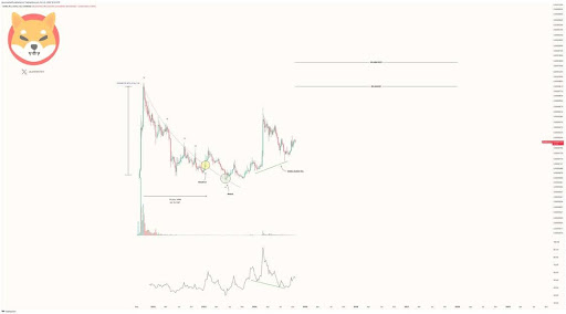 Hidden Bull Divergence Appears On Shiba Inu Chart, Here's How High The Price Can Go