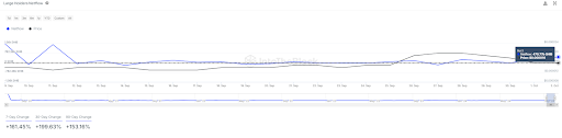 Киты сиба-ину снова в действии, активность резко возрастает 3,840%