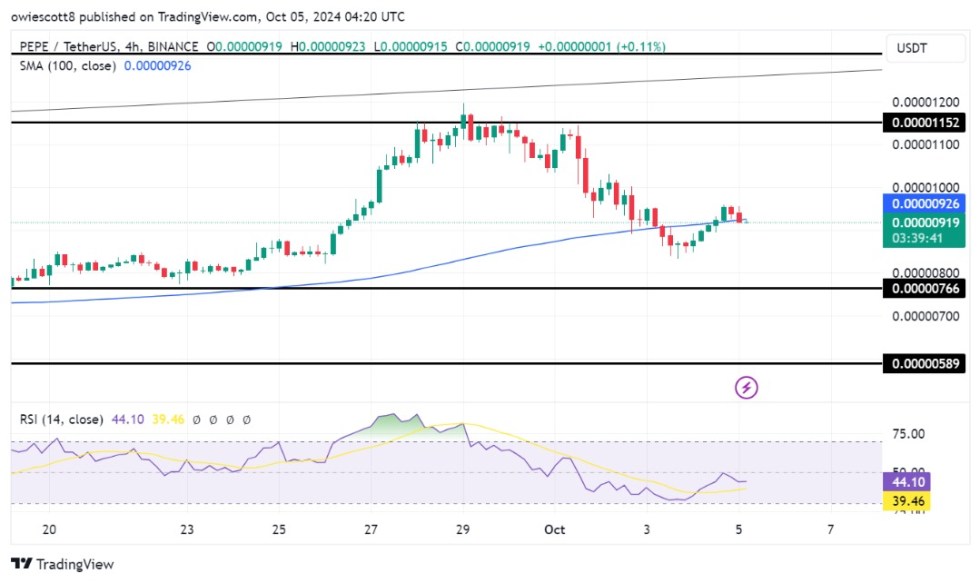 PEPE Bulls Lose Momentum, Downside Risk Grows After Failing To Hold $0.00000963