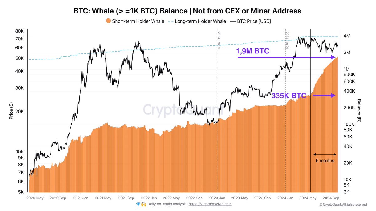 Bitcoin: 1.5M BTC has been accumulated by whales over the last 6 months.