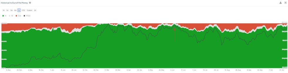 99% of Bitcoin holders are in profit