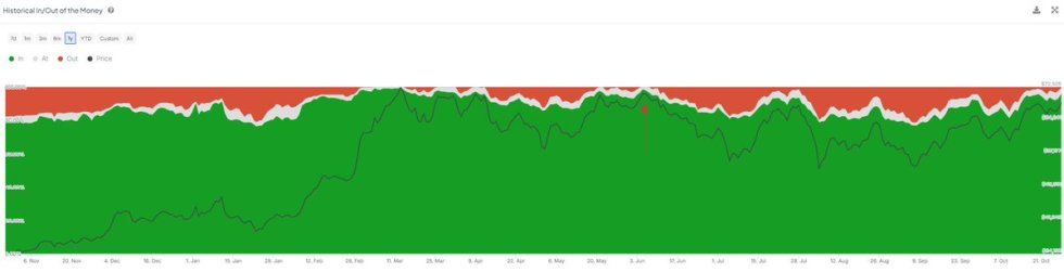 99% of Bitcoin holders are in profit 