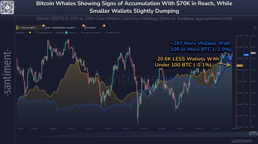 Bitcoin Whales Are Growing As Retail Shrinks – A Sign Of Strength?