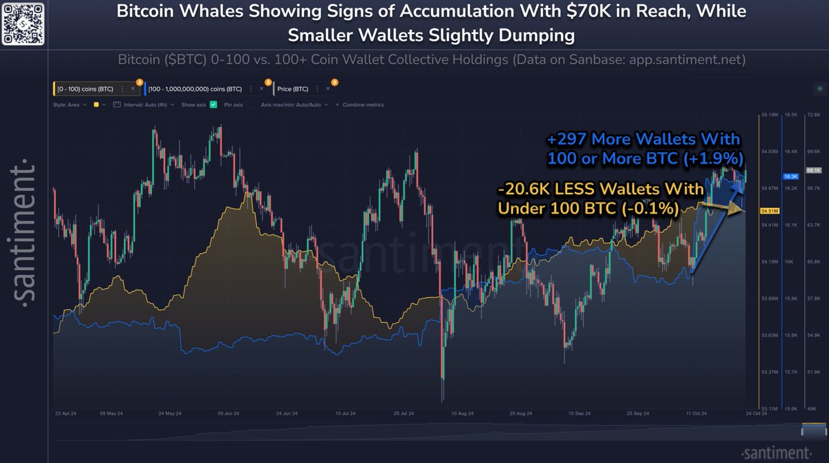Bitcoin whales are growing while retail shrinks