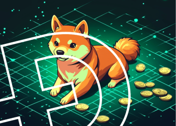 DOGE and SHIB Get the Long-Term HODL Status Alongside Bitcoin. Is Lunex Network Next?