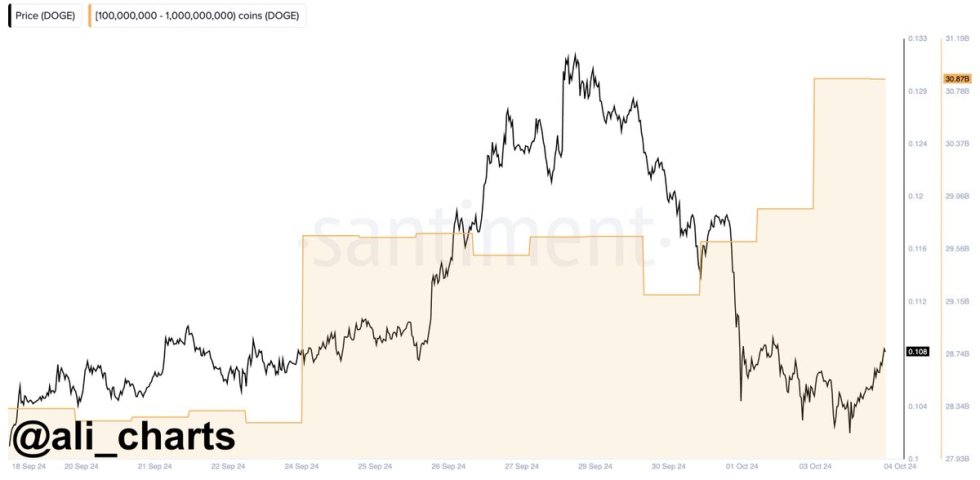 Dogecoin Whales Back In Action – Metrics Reveal $108 Million DOGE Accumulation