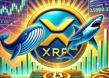 XRP Price