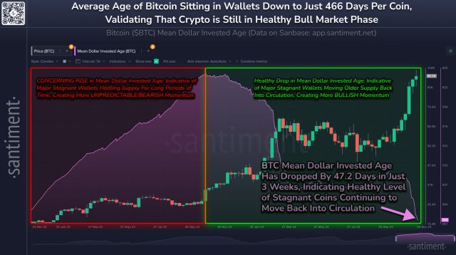 Bitcoin Holders Shift Gear: Average Age Of BTC Wallets Declines Sharply