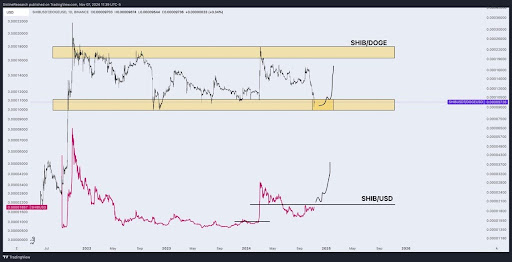 Dogecoin Vs. Shiba Inu: Investment Firm Reveals Why SHIB Will Outperform DOGE In 2025