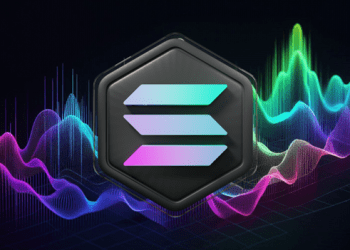 Solana Whales Bet Big on SOL Killer as Memecoins Crash to a 30 Day Low