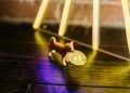 Shiba Inu Price To Reach $0.01, As Dogwifhat Price Also Surges, While New Meme Coin Trends Worldwide
