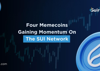 Top Sui Memecoins to Watch in November 2024