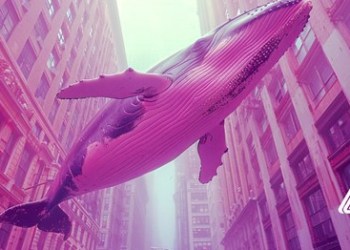 Dogecoin Price Recovery Put Investors In Profits, DOGE Whales Move Profits Into This Ethereum Altcoin Set To Rally 54,000%