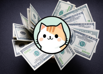 Forget POPCAT! $1,000 in This New $0.0019 Coin Could Reach Over $50,000 at Just $0.01!