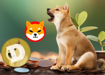 A New Powerhouse Rising? This $0.0005 Coin Aims to Surpass SHIB and DOGE’s Historic Gains in the Bull Run!