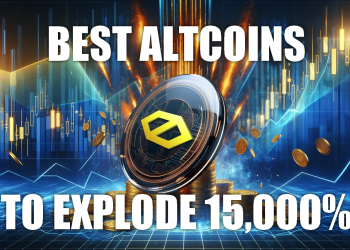 Crypto Millionaires’ Secret: $1,200 in These Coins Could Turn Into $2M by 2025!