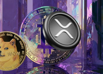 Where to Invest in November 2024: Dogecoin (DOGE) or Ripple (XRP)