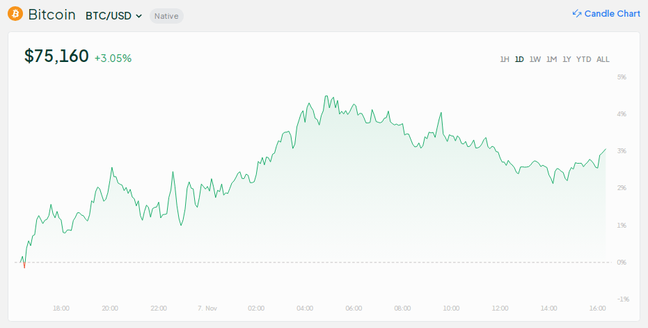 End Of The 'Pain' — Bitcoin Primed For 40% Gain, Analytics Firm CEO Says