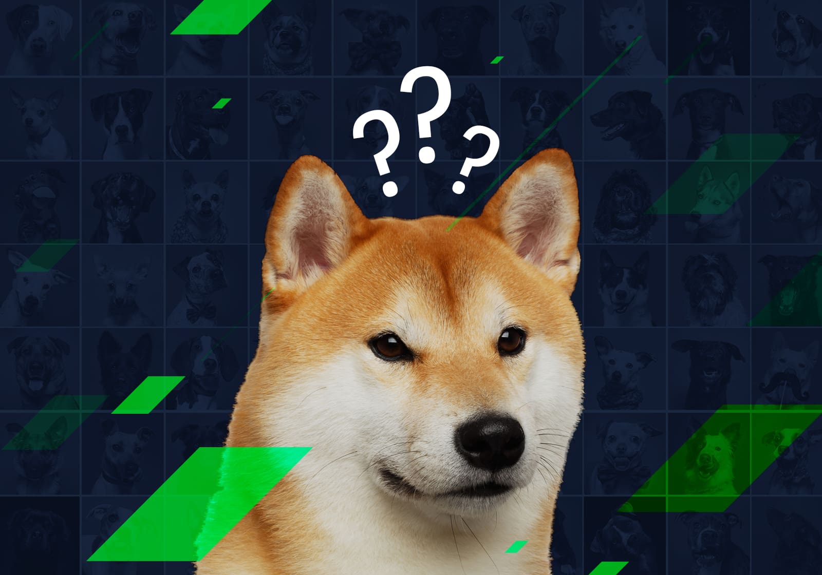 Dogecoin Community Celebrates DOGE Day Today, What Is It All About?