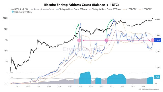 Small-Scale Bitcoin Wallets Are Booming: Addresses With Less Than 1 BTC Surges