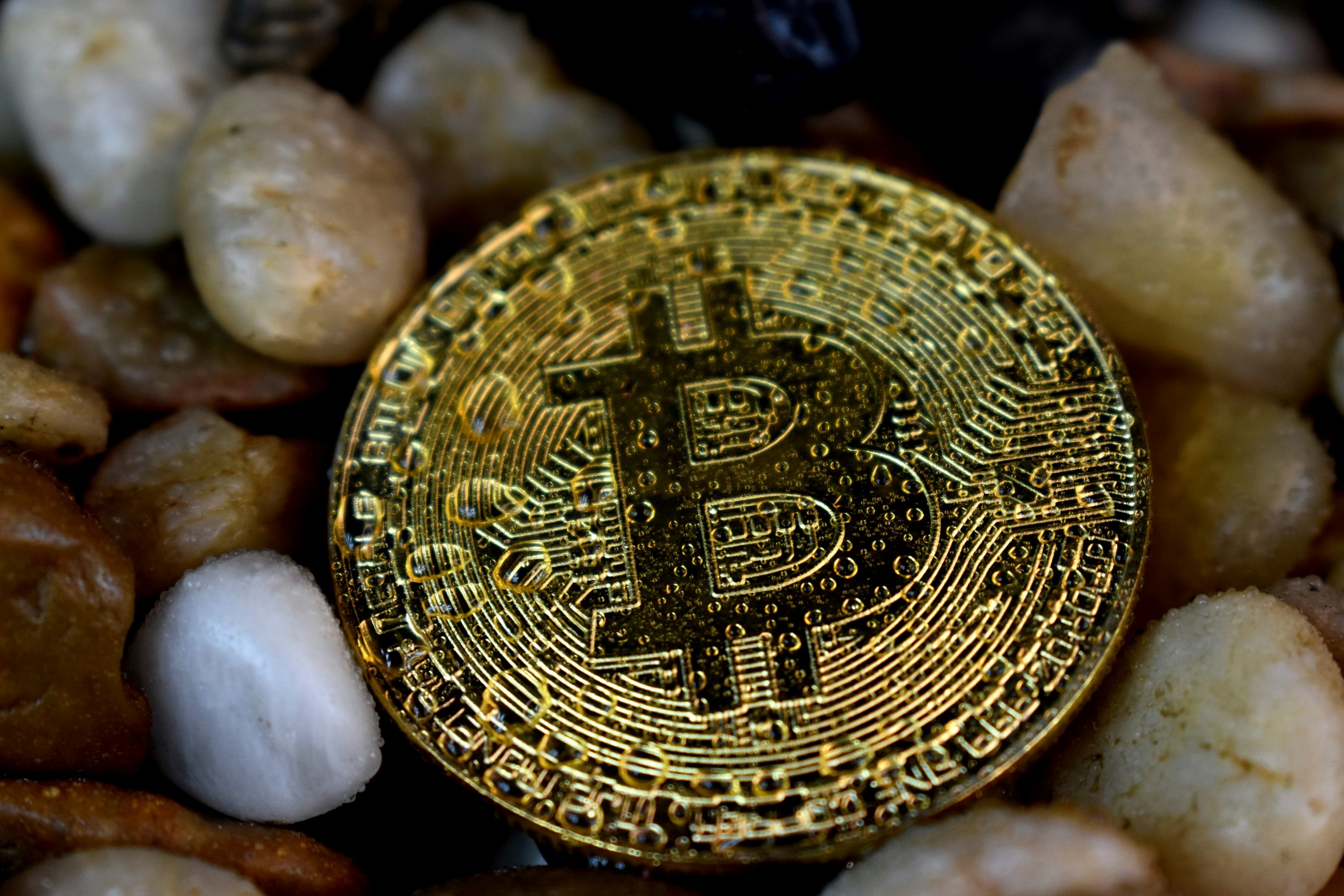 Bitcoin's Path Forward: Next Major Target Set At $121,290, What's ...
