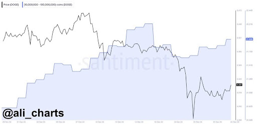 Dogecoin Whales Go On 270 Million DOGE Buying Spree As Crash Provides Low Entry