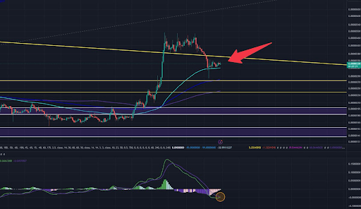 Here's Why The Dogecoin And Shiba Inu Prices Are Falling Today