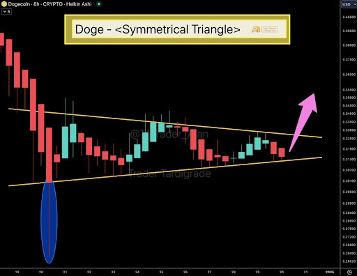 Dogecoin price 3