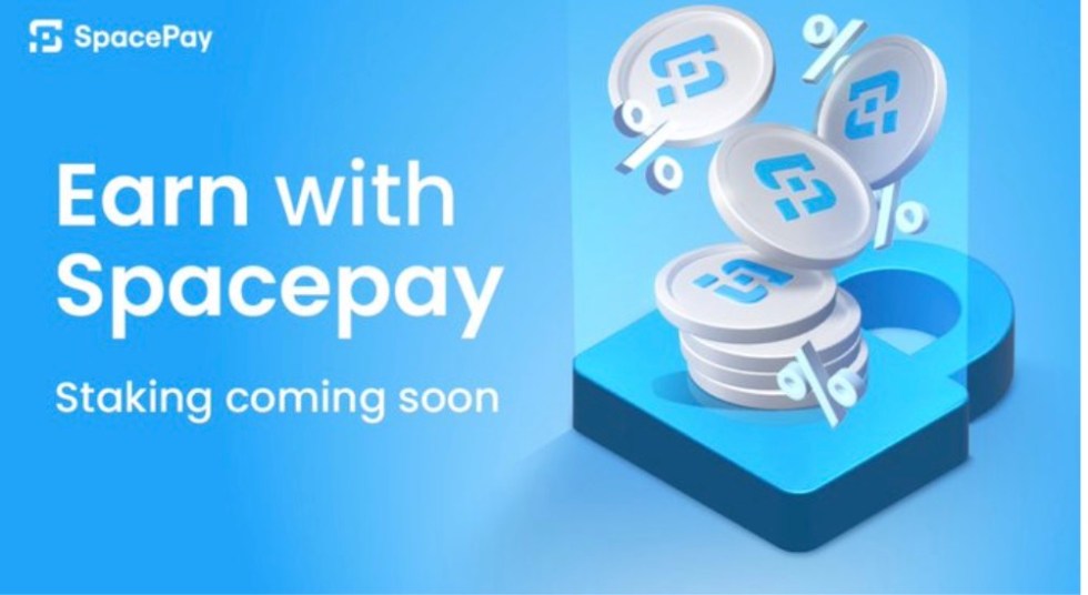 Зарабатывайте с SpacePay