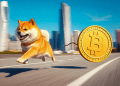Dogecoin’s 76,150% Surge Beats Bitcoin’s 8,031%: Is DOGE the King of Gains?
