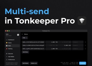 Tonkeeper Pro Review: A Feature-Rich Wallet for TON Traders