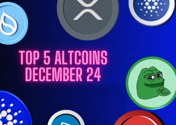 Top 5 Altcoins to Own in December 2024—Don’t Regret Missing Out!