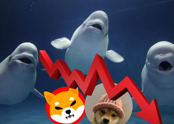 Whales Dump SHIB and WIF to Bet Big on This New Crypto With 99,000% Growth Potential!