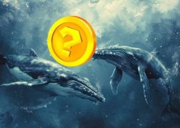 Whales’ Top Focus: 3 Memecoins Set to Break $10B Market Cap and Bring Huge Investor Returns!