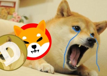 This $0.000667 Token Is Poised to Overtake Dogecoin and Shiba Inu by 2025!