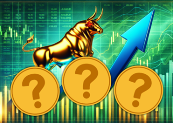 New Solana Gem Breaks Records With 20,000% ROI — BONK and WIF Investors Rush to Buy