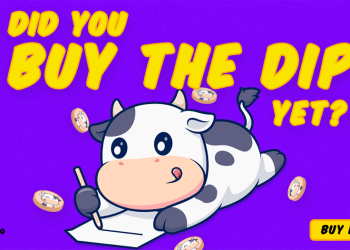 BTFD Coin’s $3.4M Presale Can Cure Your FOMO After Osaka Protocol’s Missed ICO [This Guide Explains How]