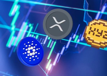 Cardano Hits a Pause, But XYZVerse and XRP Are Breaking Limits on Their Ascent!