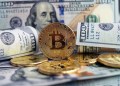 BlackRock Bitcoin ETF Holdings Upsize To $77M, Investors Who Missed BTC Are Now Flocking To Shiba Inu And This New DeFi Altcoin