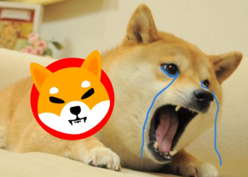 Shiba Inu Price Prediction: $2 Is Possible, but This Hot Rival Could Get There First