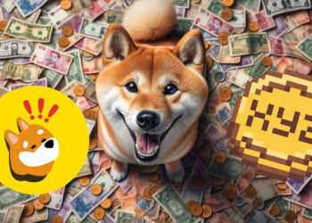 Dogecoin Millionaire Backs BONK and XYZVerse as 2025’s Market Leaders!