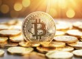 Bitcoin Price Prediction: No Stopping BTC, Meme Coins Still Strong As Pepe Holders Also Eye Entry To Another Viral ETH Coin
