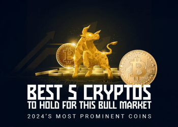 Why These 5 Altcoins Are of Choice in December 2024 for Long-Term Success