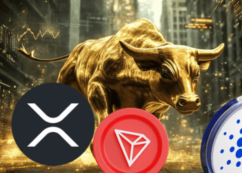 Bullish Trends for XRP, ADA, and TRX Could End Soon—New Crypto Players Take the Spotlight This Altseason!
