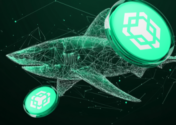 BNB (BNB) Inches Closer To $800, Sui (SUI) Makes New ATH Again—Lunex Network (LNEX) Raises Over $5 Million