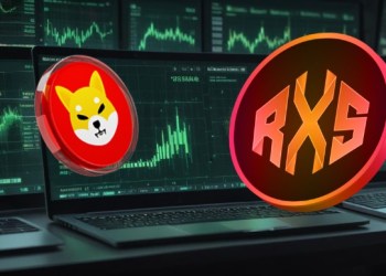 Shiba Inu Price Prediction: 2 Cryptocurrencies That Will Overtake SHIB in 2025