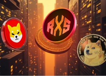 Investing $50 in This Dogecoin (DOGE) Rival Will Yield $5000 in January 2025, And It’s Not Shiba Inu (SHIB)