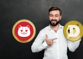 Can This New Solana Coin Dethrone Dogecoin? Analysts Predict Explosive 550x Gains in 2025!