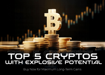 Cryptos To Buy Now: Winning Big With Investors This December
