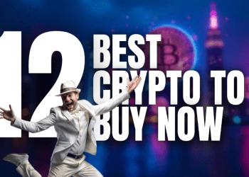Crypto to Buy Today: Picks for December 2024